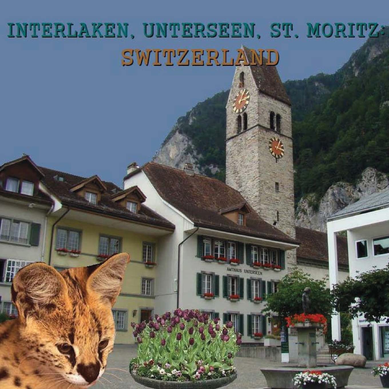 Interlaken, Unterseen, St. Moritz: Switzerland book