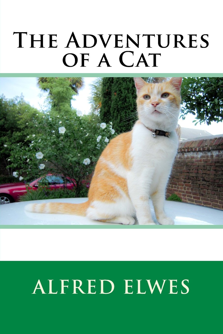 The Adventures of a Cat Classics