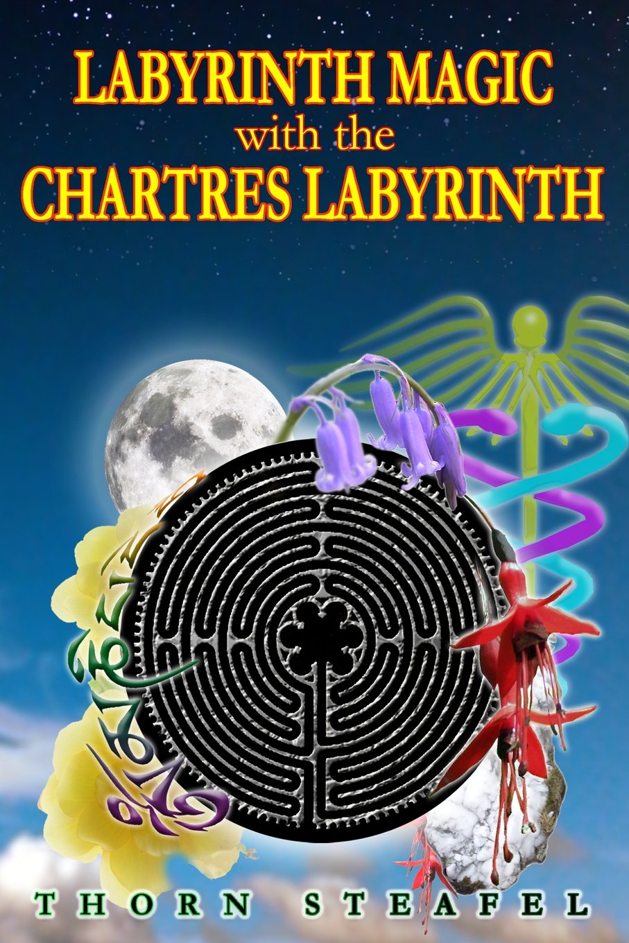 Product Image: Labyrinth Magic with the Chartres Labyrinth