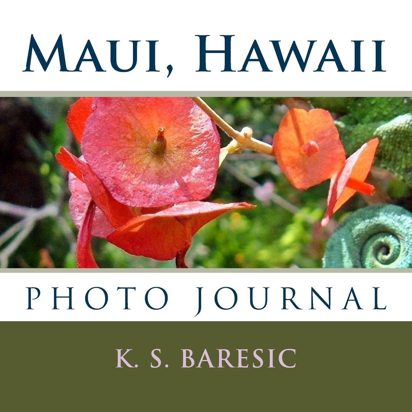 Maui, Hawaii: Photo Journal (1) Travel