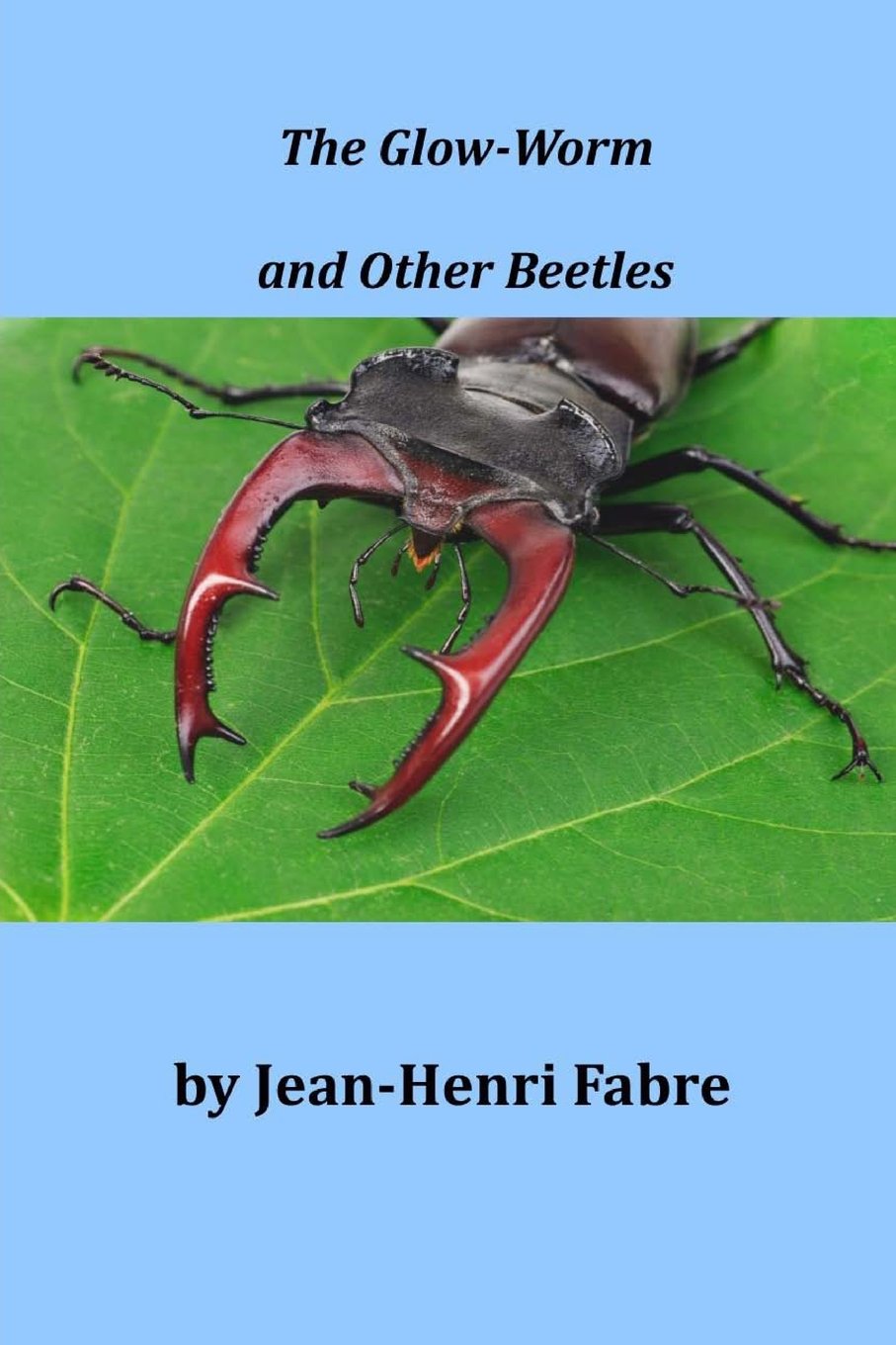 The Glow-Worm and Other Beetles Natural Sciences
