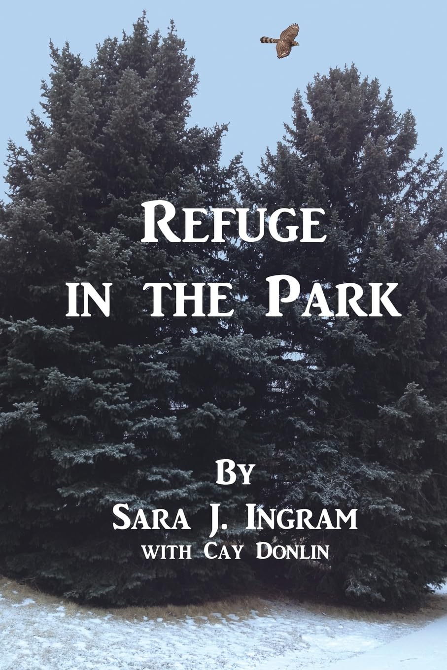 Refuge in the Park (Steeple Point Series, Band 3) Detective & CSI