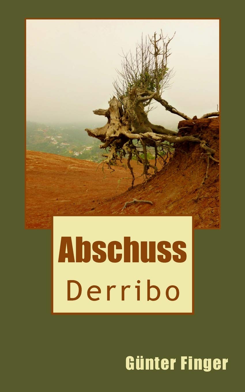 Derribo: Abschuss Contemporary literature