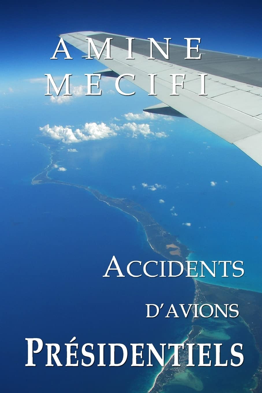 Accidents d'Avions Presidentiels (Les Chroniques de la Securite Aerienne, Band 1) Business & Technology