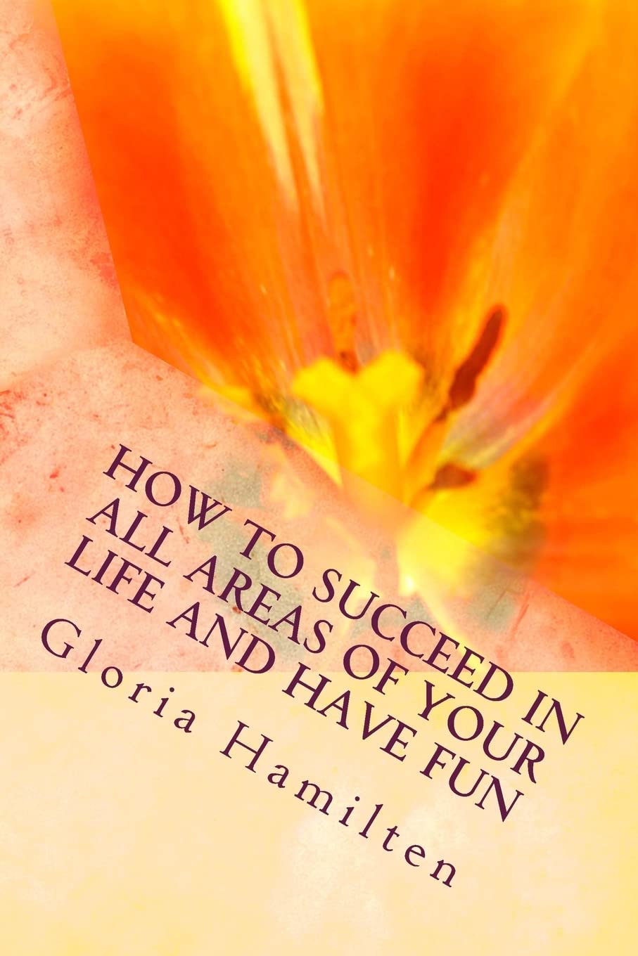 How To Succeed In All Areas Of Your Life And Have Fun Self-help