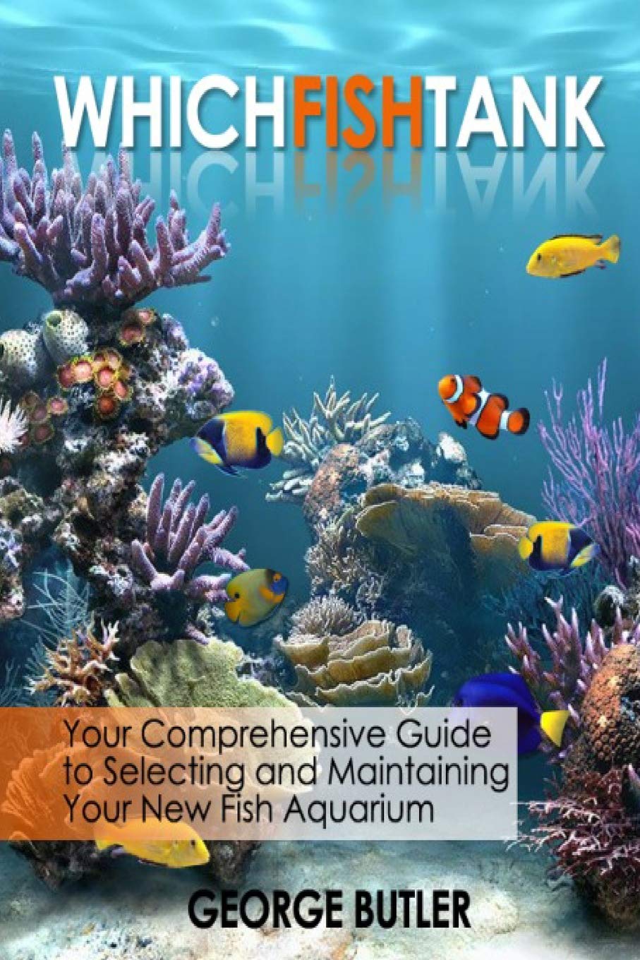 WhichFishTank: Your Fish Aquarium Buying Guide Pets