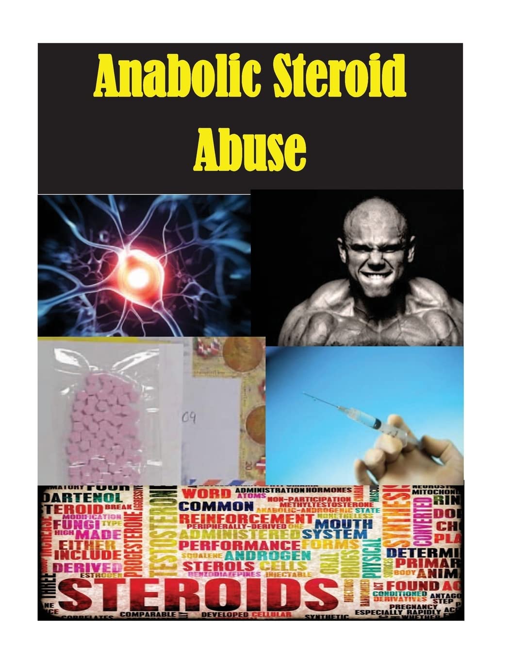Anabolic Steroid Abuse book