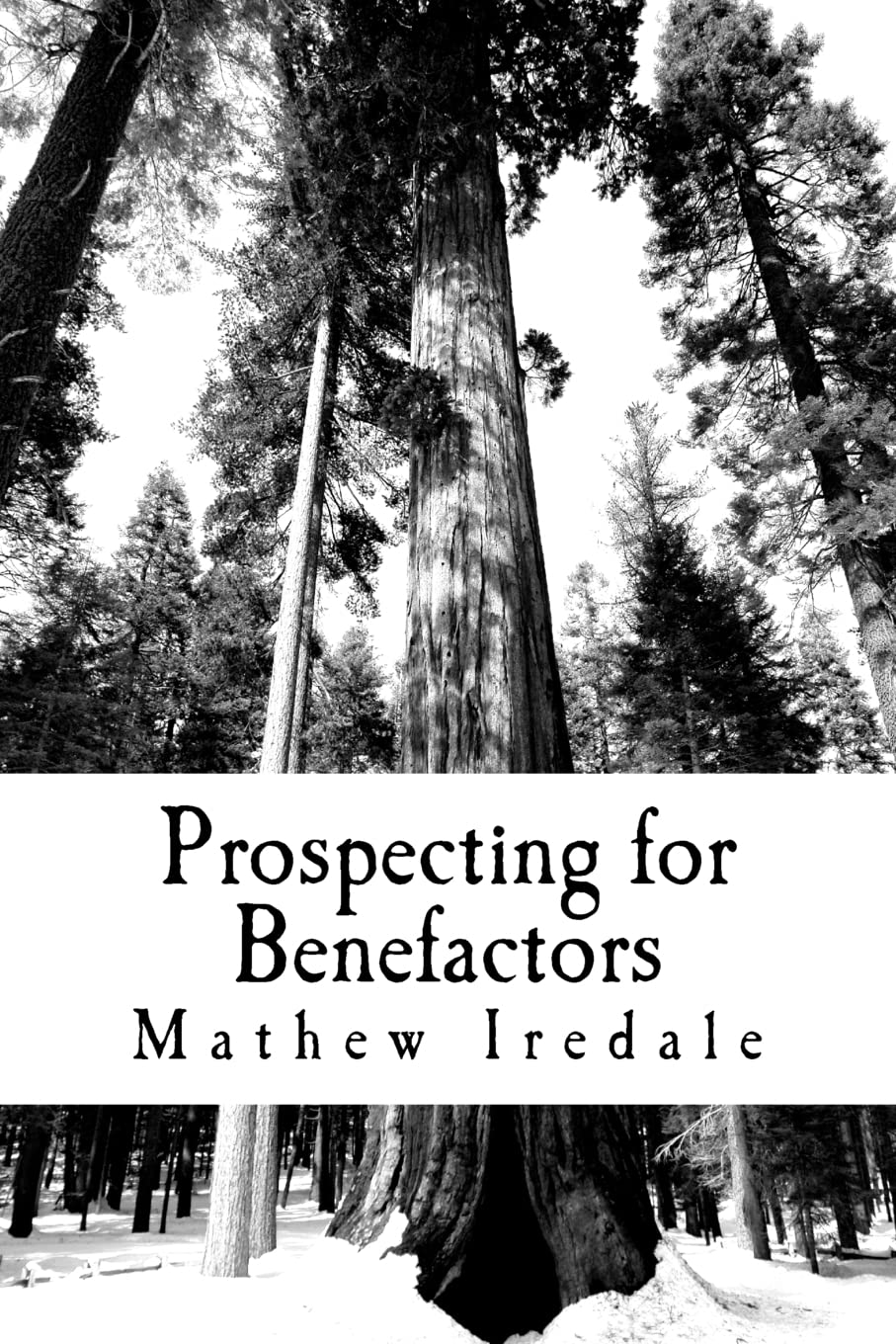 Prospecting for Benefactors: How to find major donors to support your school Books