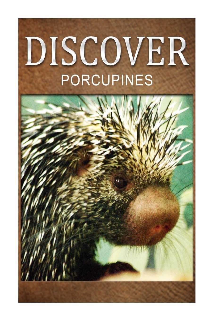 Porcupines - Discover: Early reader's wildlife photography book Education & Training