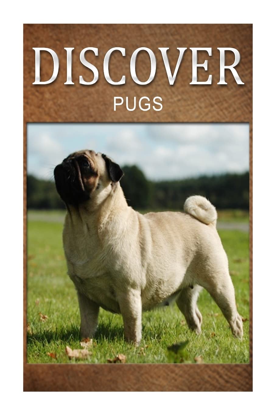 Pugs - Discover: Early reader's wildlife photography book Education & Training