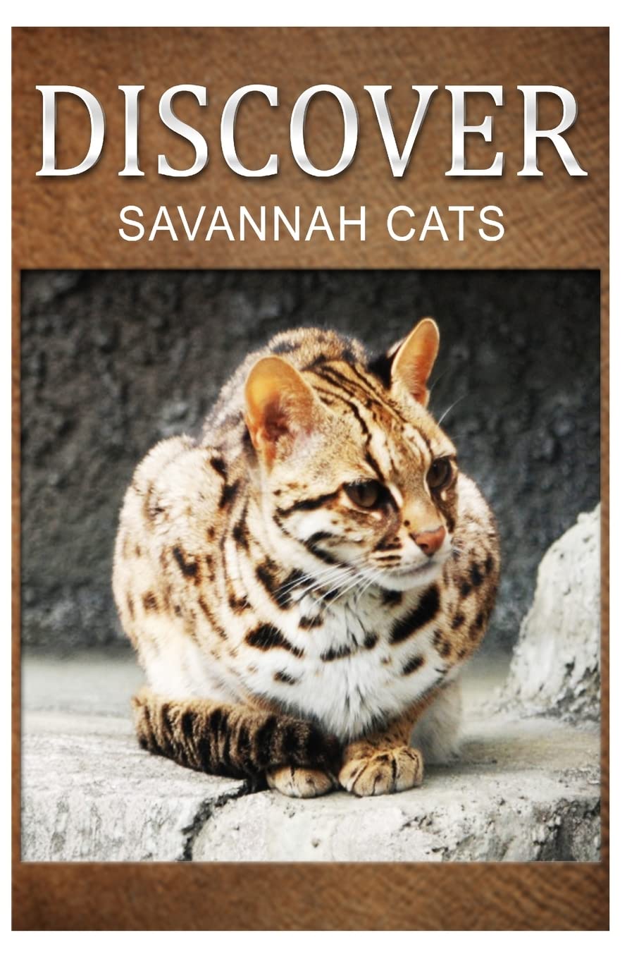 Savannah Cats - Discover: Early reader's wildlife photography book Education & Training