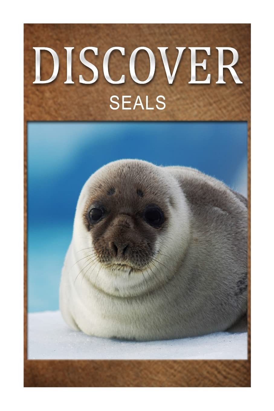 Seals - Discover: Early reader's wildlife photography book Education & Training
