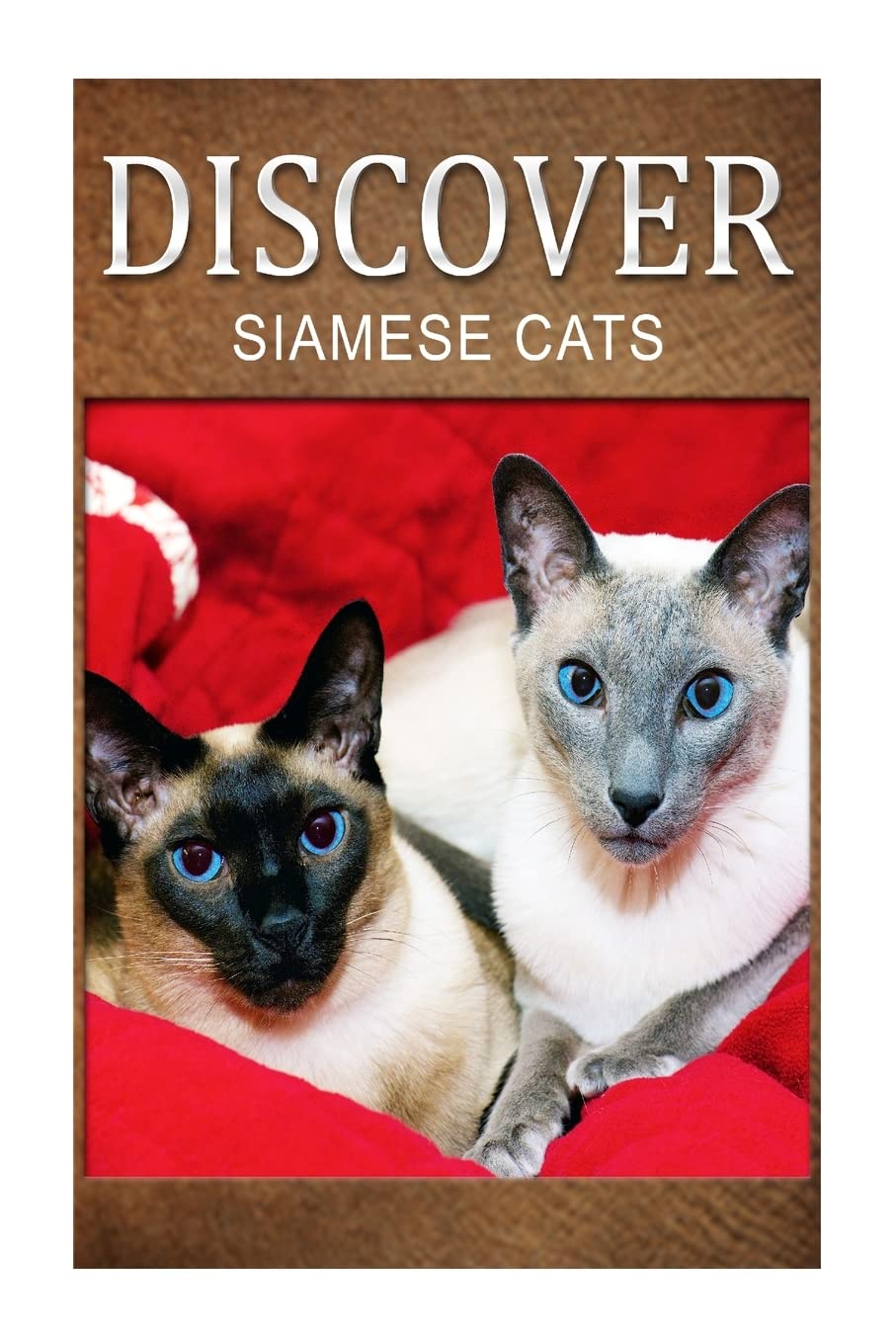Siamese Cats - Discover: Early reader's wildlife photography book Education & Training