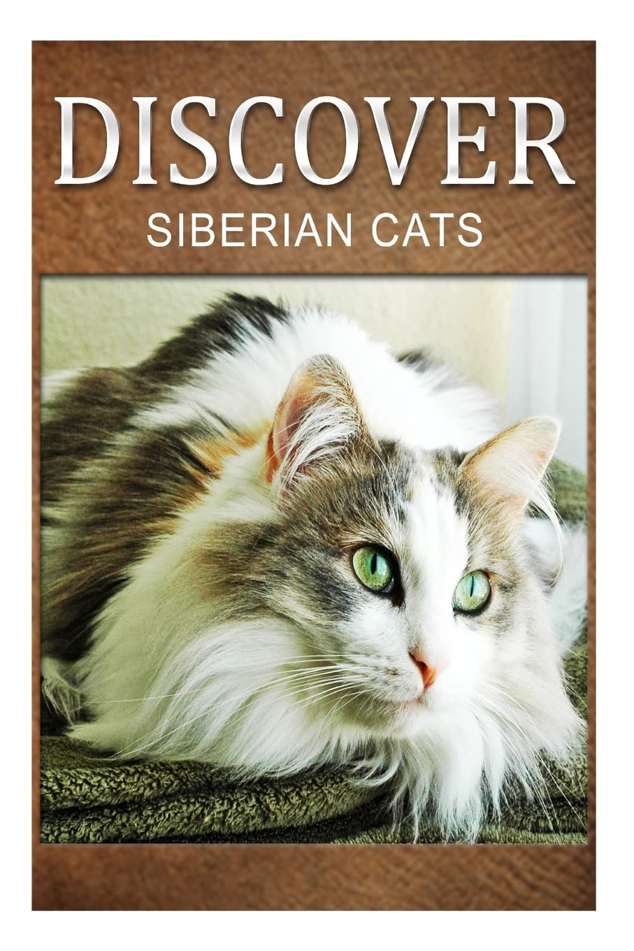 Siberian Cats - Discover: Early reader's wildlife photography book Education & Training