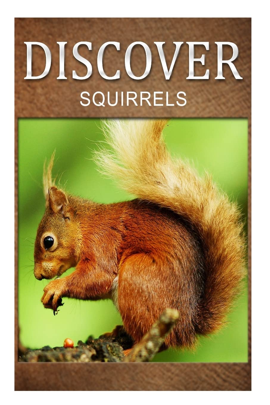 Product Image: Squirrel - Discover: Early reader's wildlife photography book