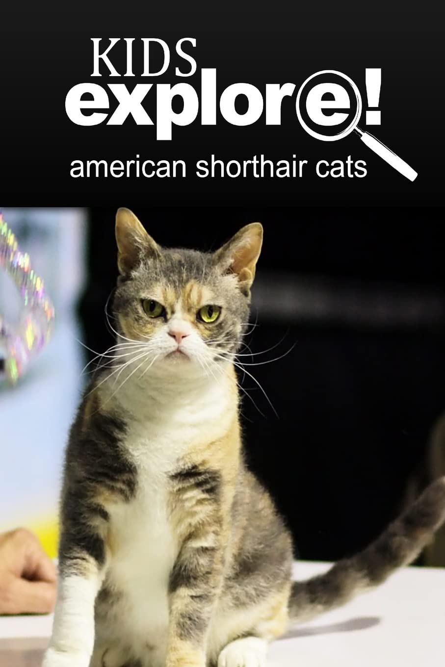 American Shorthair Cat - Kids Explore: Animal books nonfiction - books ages 5-6 Education & Training