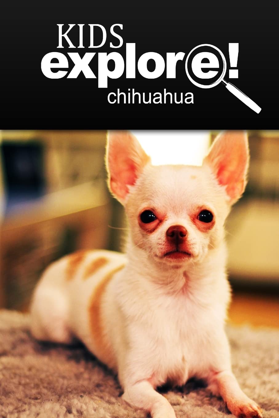 Chihuahua - Kids Explore: Animal books nonfiction - books ages 5-6 Education & Training