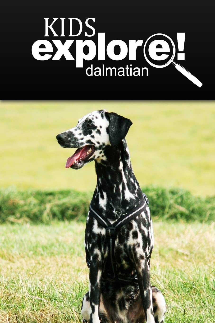 Dalmatians - Kids Explore: Animal books nonfiction - books ages 5-6 Education & Training