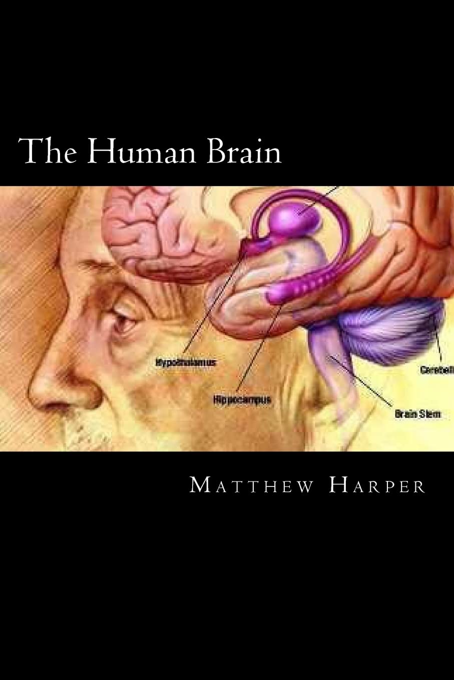 The Human Brain: A Fascinating Book Containing Human Brain Facts, Trivia, Images & Memory Recall Quiz: Suitable for Adults & Children (Matthew Harper) Non-fiction