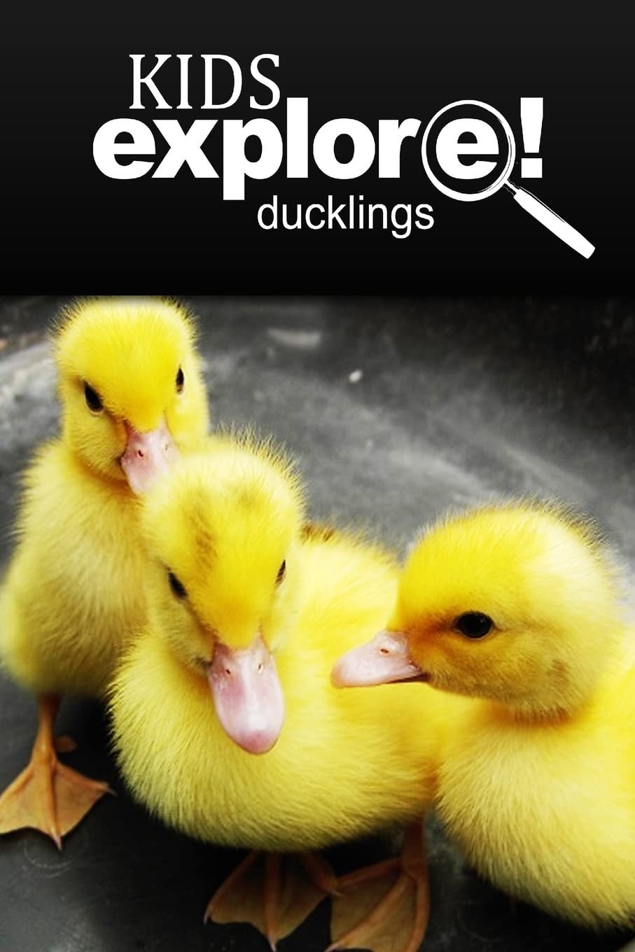 Ducklings - Kids Explore: Animal books nonfiction - books ages 5-6 Education & Training
