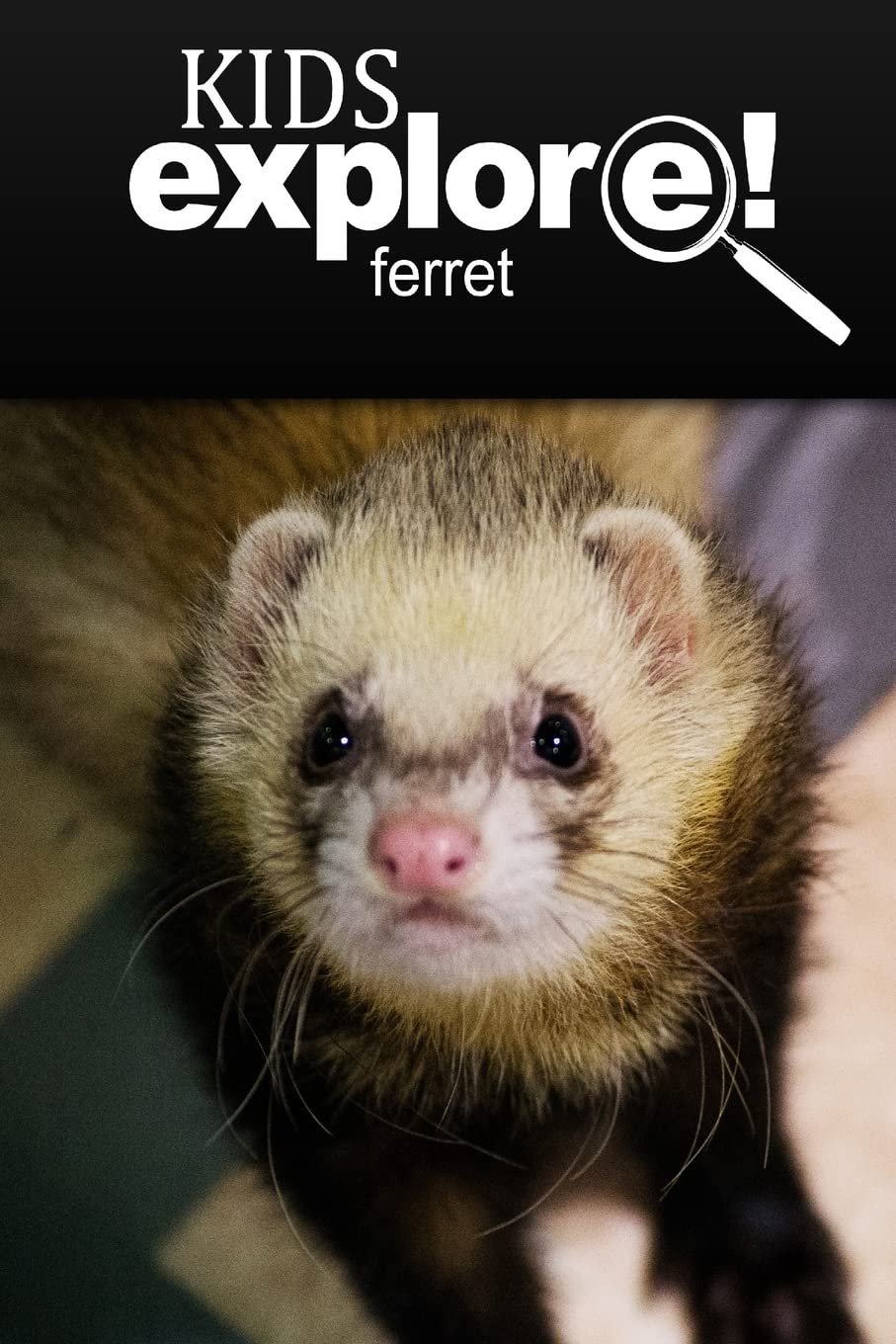 Ferret - Kids Explore: Animal books nonfiction - books ages 5-6 Education & Training
