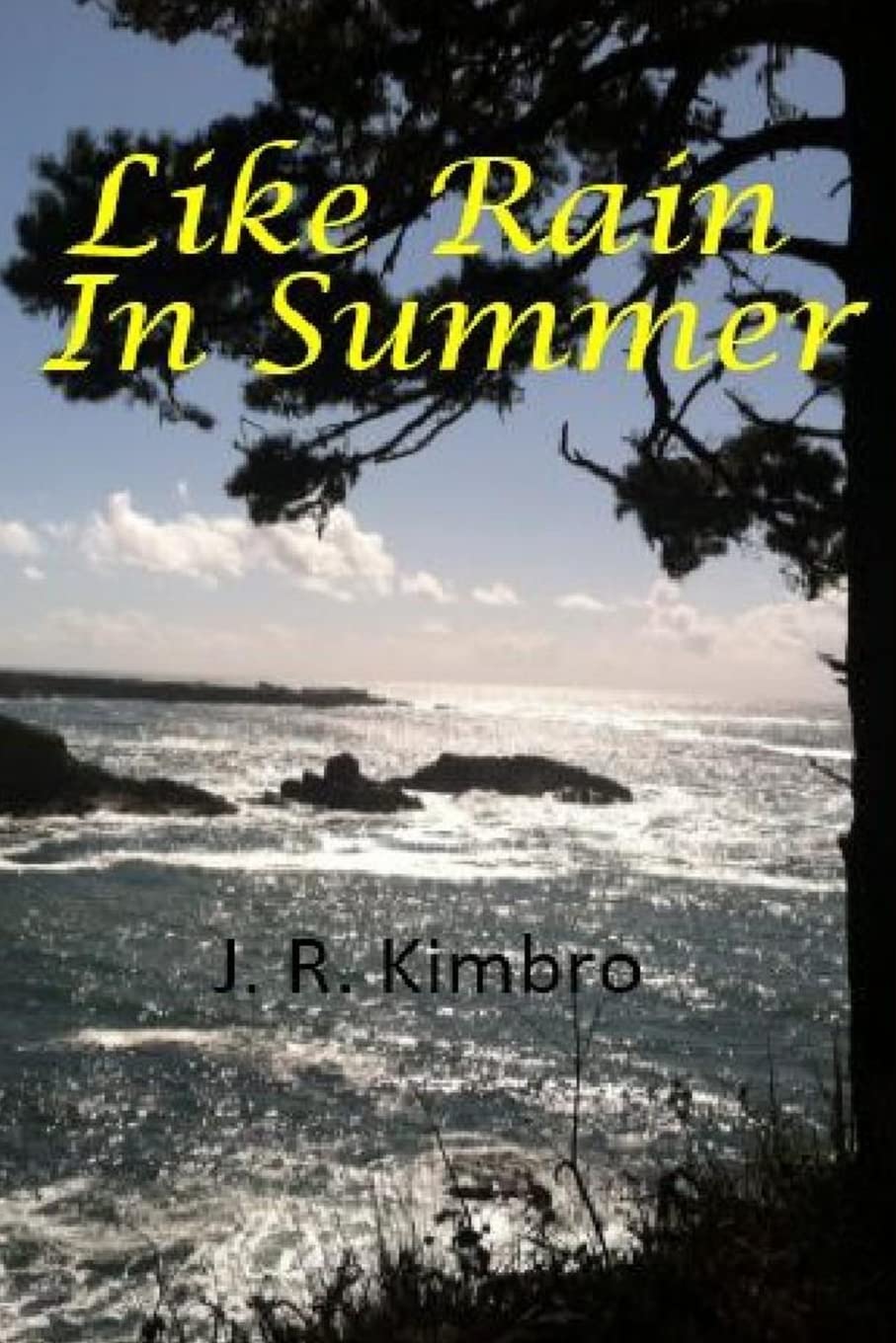 Like Rain in Summer (Seasons of Change, Band 1) Fiction