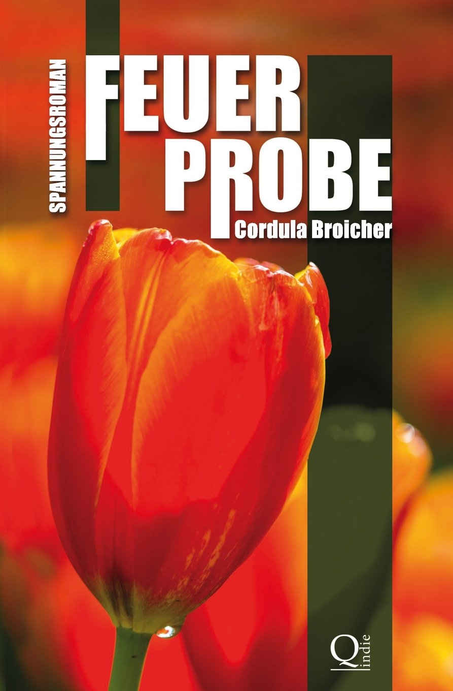 Feuerprobe: Spannungsroman book