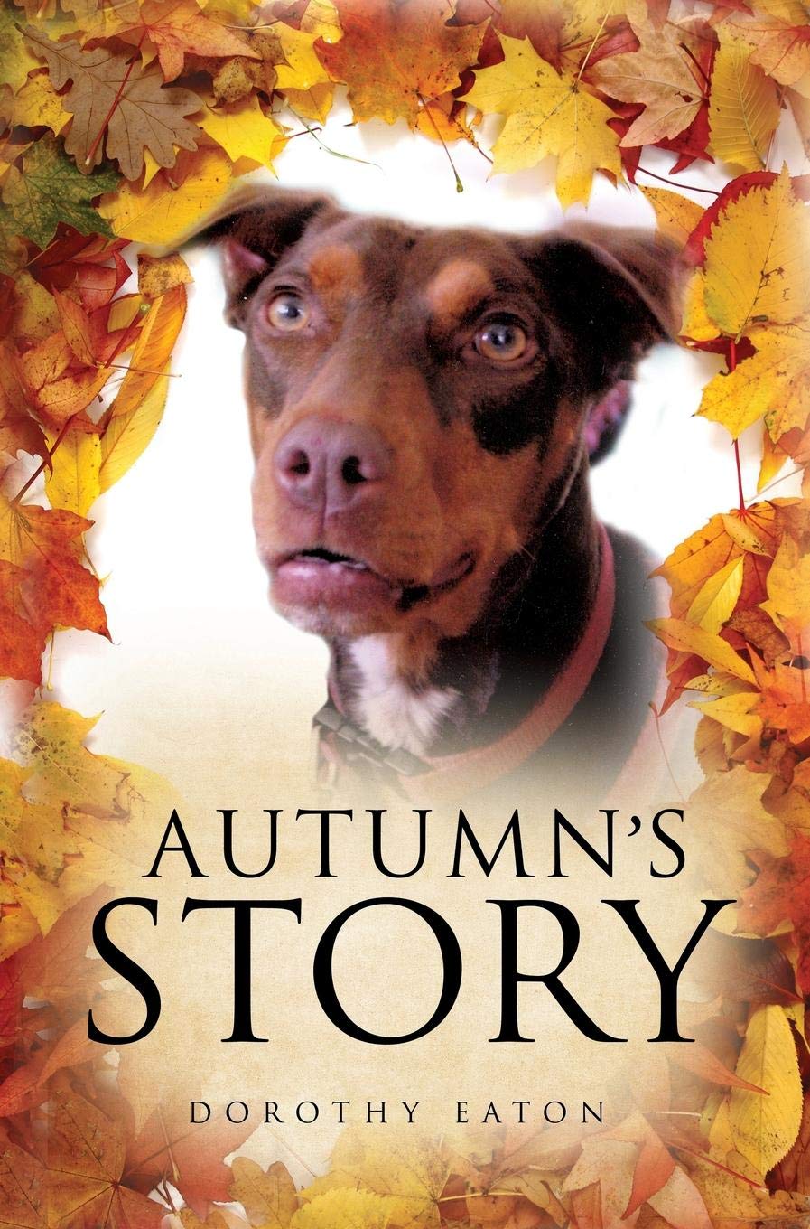Product Image: Autumn's Story