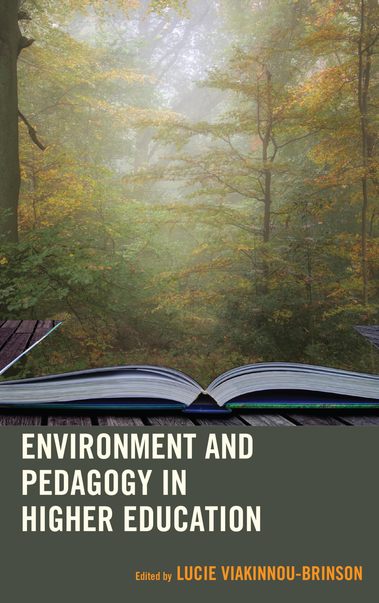 Environment and Pedagogy in Higher Education Contemporary literature