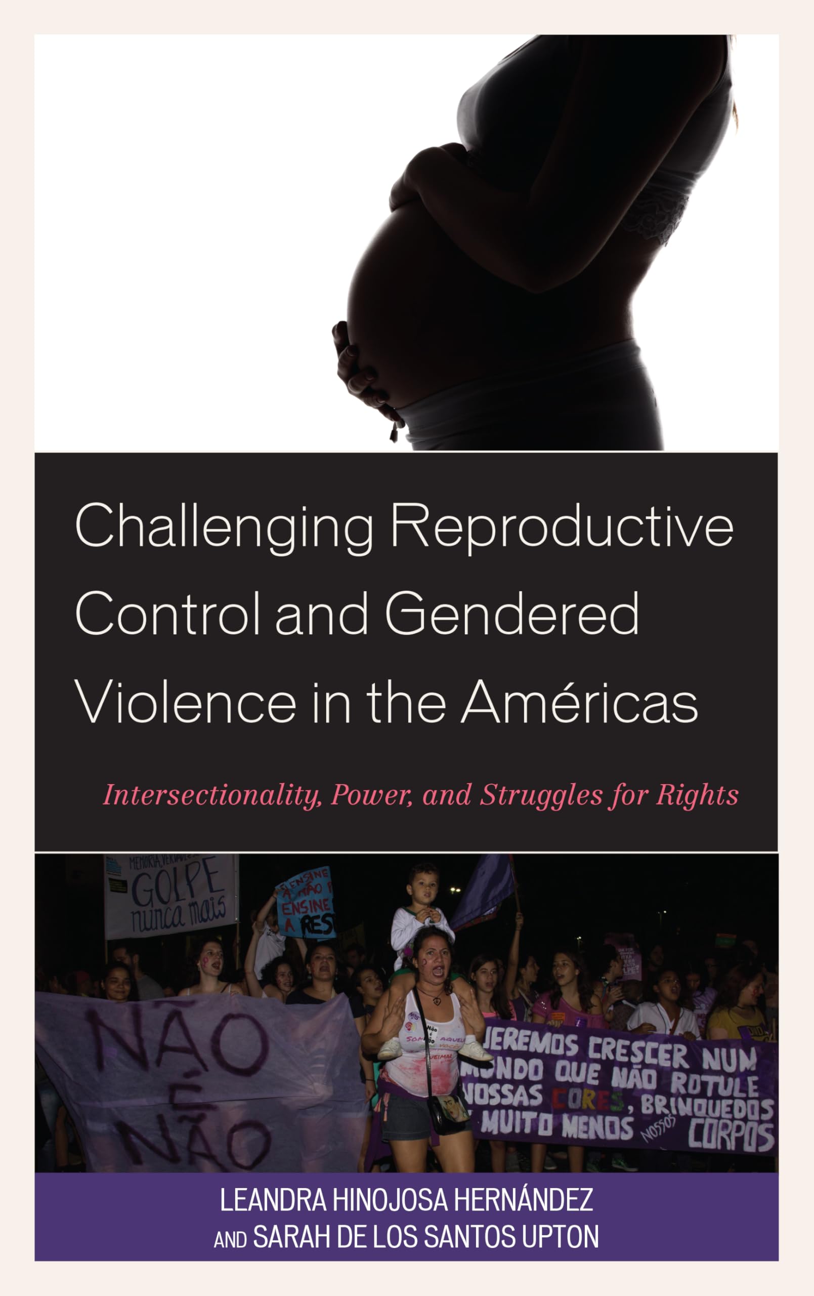 Challenging Reproductive Control and Gendered Violence in the Américas Books