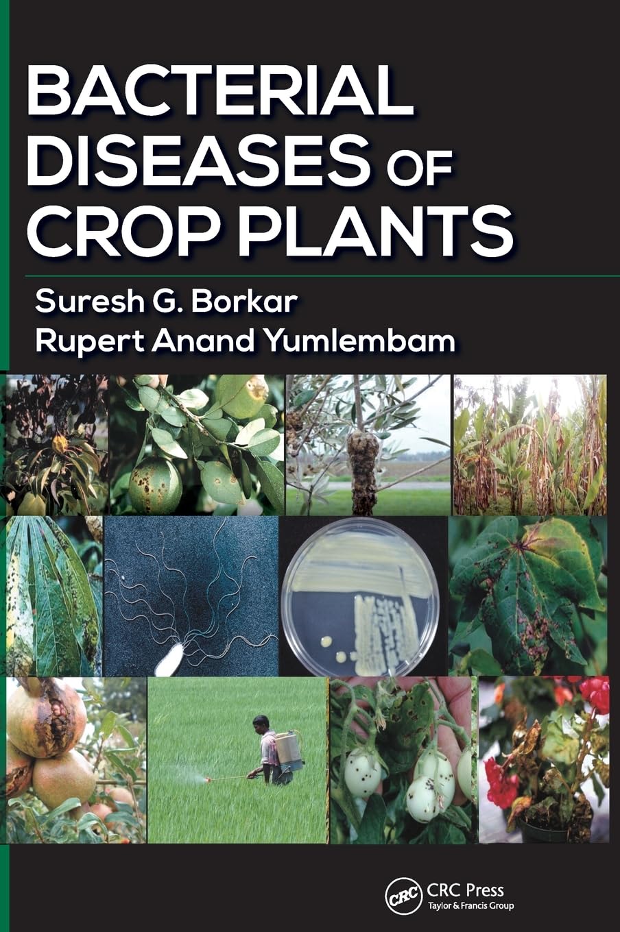 Bacterial Diseases of Crop Plants Business & Technology