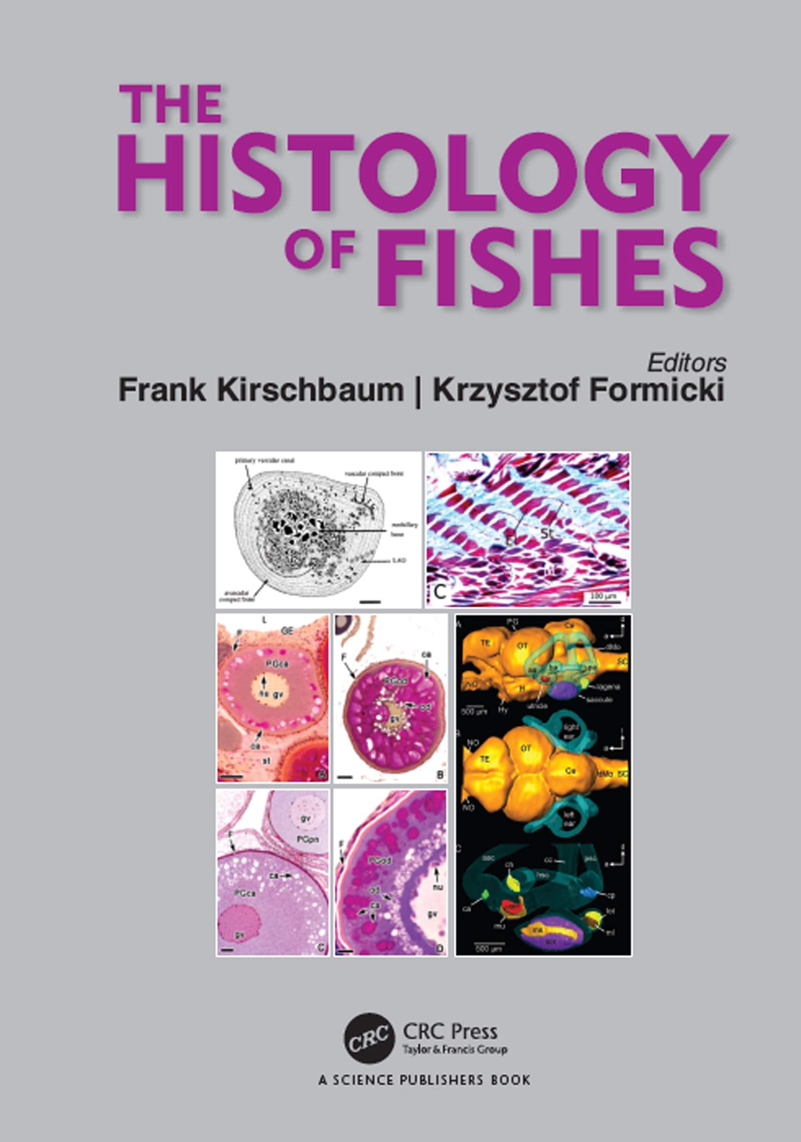 The Histology of Fishes Mathematics