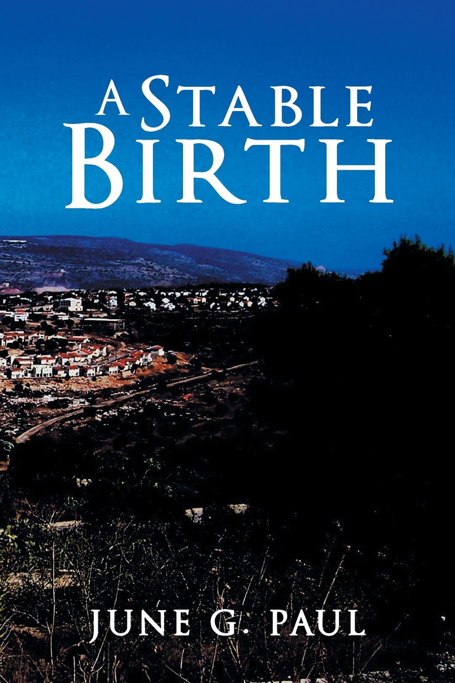 Product Image: A Stable Birth