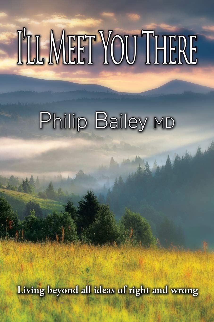 I’ll Meet You There: Living beyond all ideas of right and wrong Business, Finance & Career