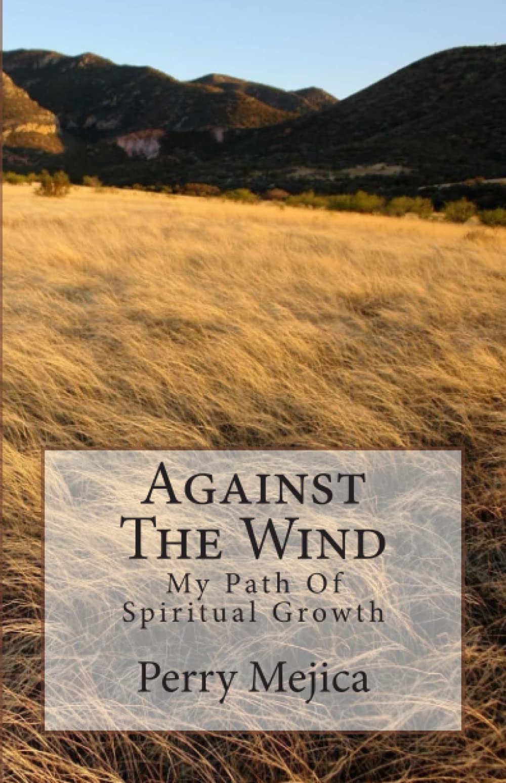 Against the Wind: My Path of Spiritual Growth Self-help