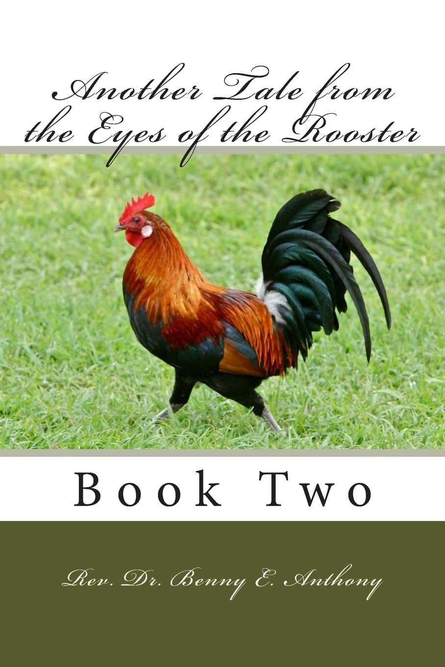 Another Tale from the Eyes of the Rooster: Book Two Religion & Esotericism