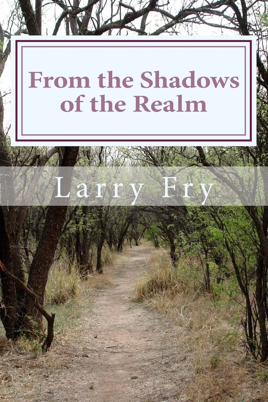 From the Shadows of the Realm Detective & CSI