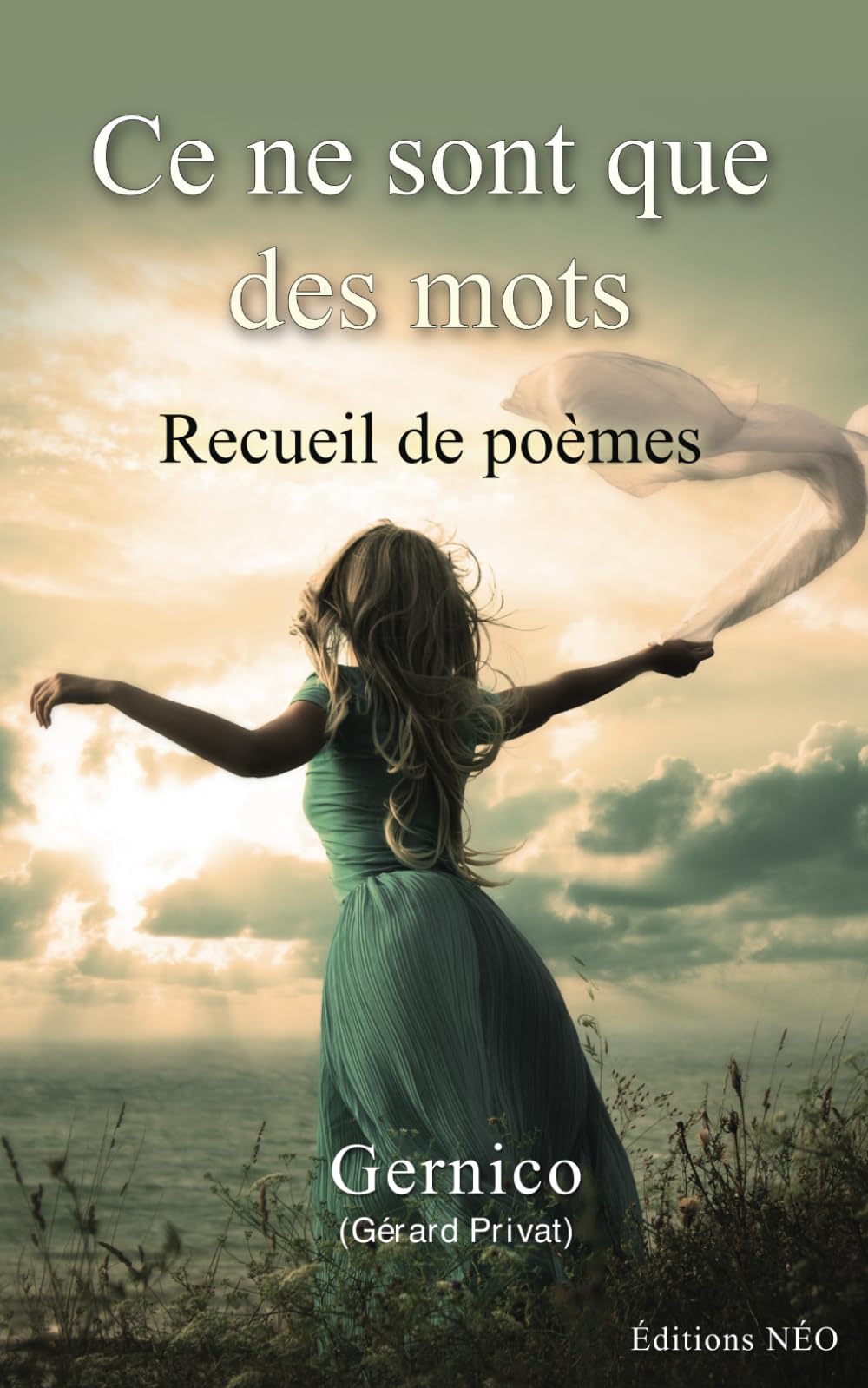 Ce ne sont que des mots: Recueil de poèmes Poetry