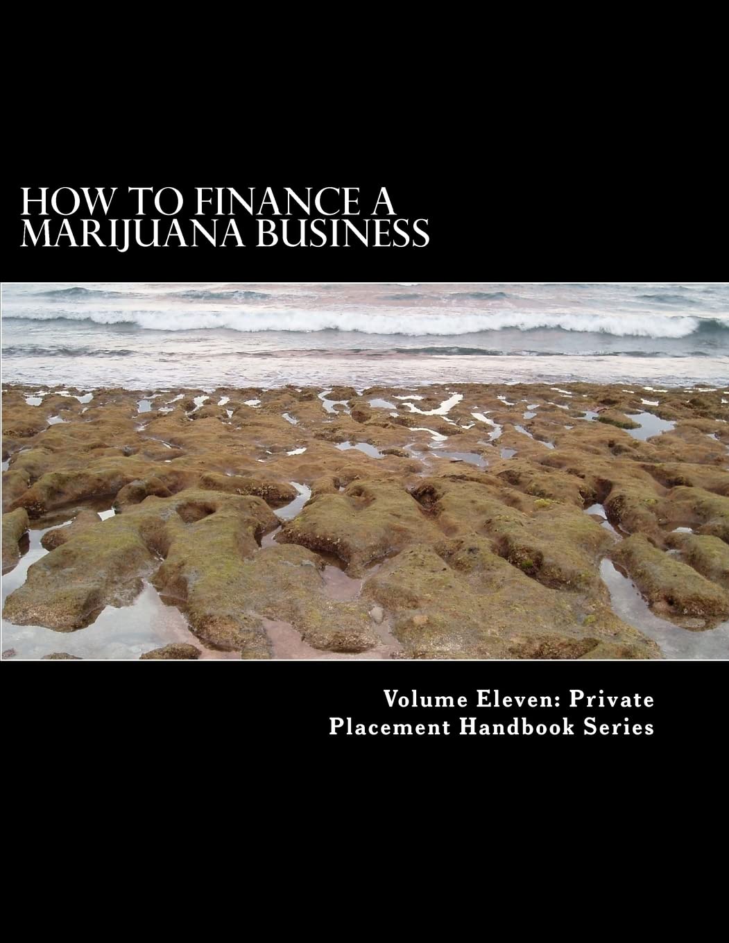 How to Finance a Marijuana Business: Equity Crowd Finance Meets Cannabis (Wellness and Cannabis Foundation Series, Band 1) Business, Finance & Career