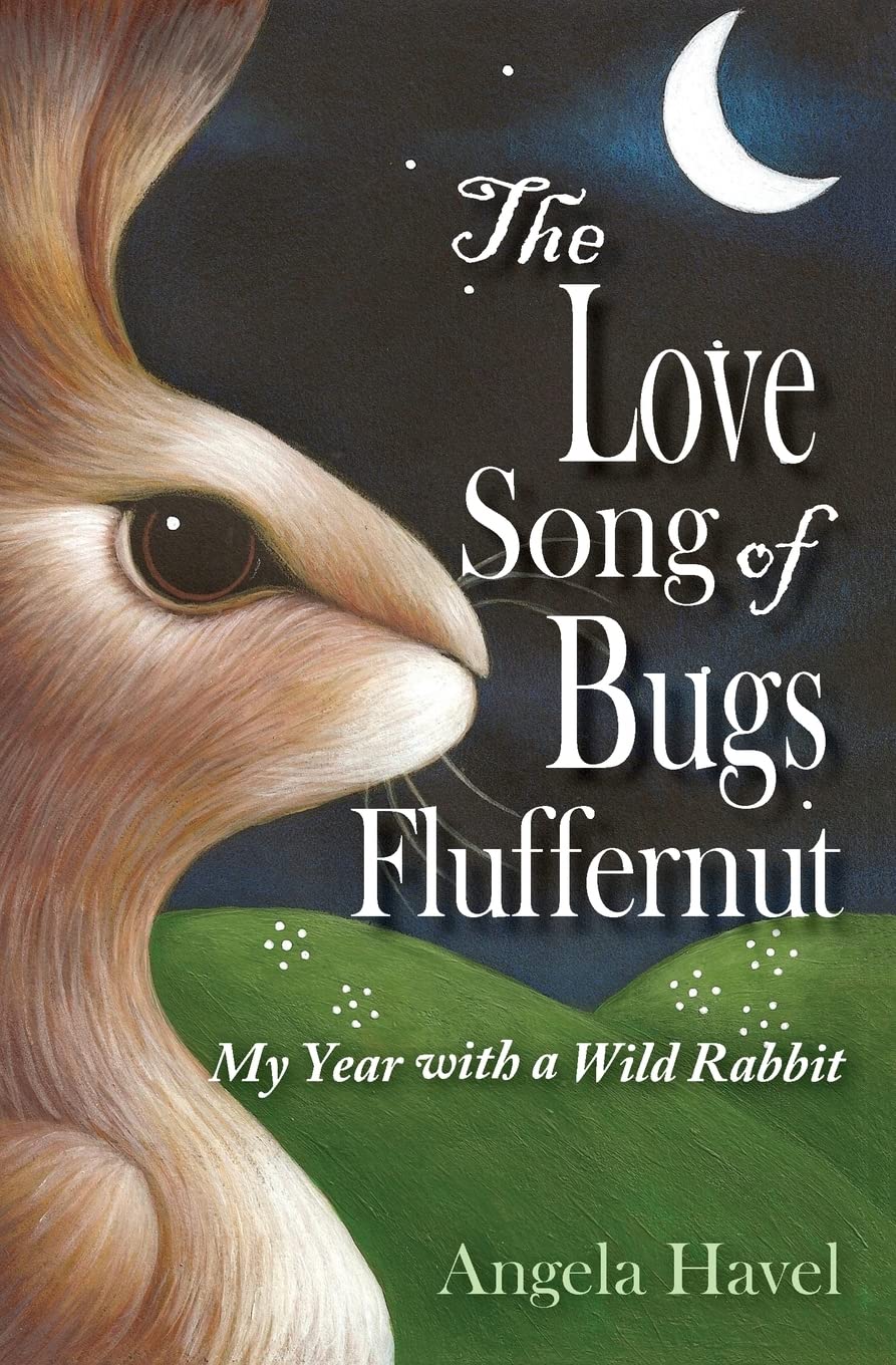 The Love Song of Bugs Fluffernut Mathematics