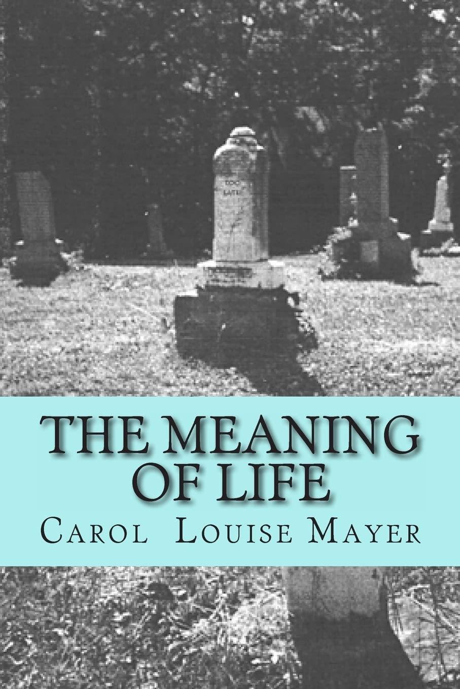 The Meaning of Life Books