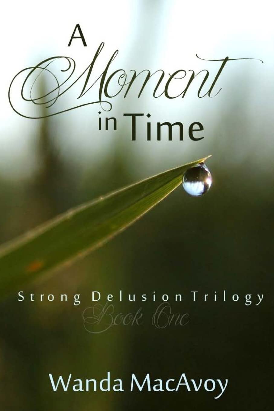 A Moment in Time (Strong Delusion Trilogy, Band 1) Religion & Esotericism