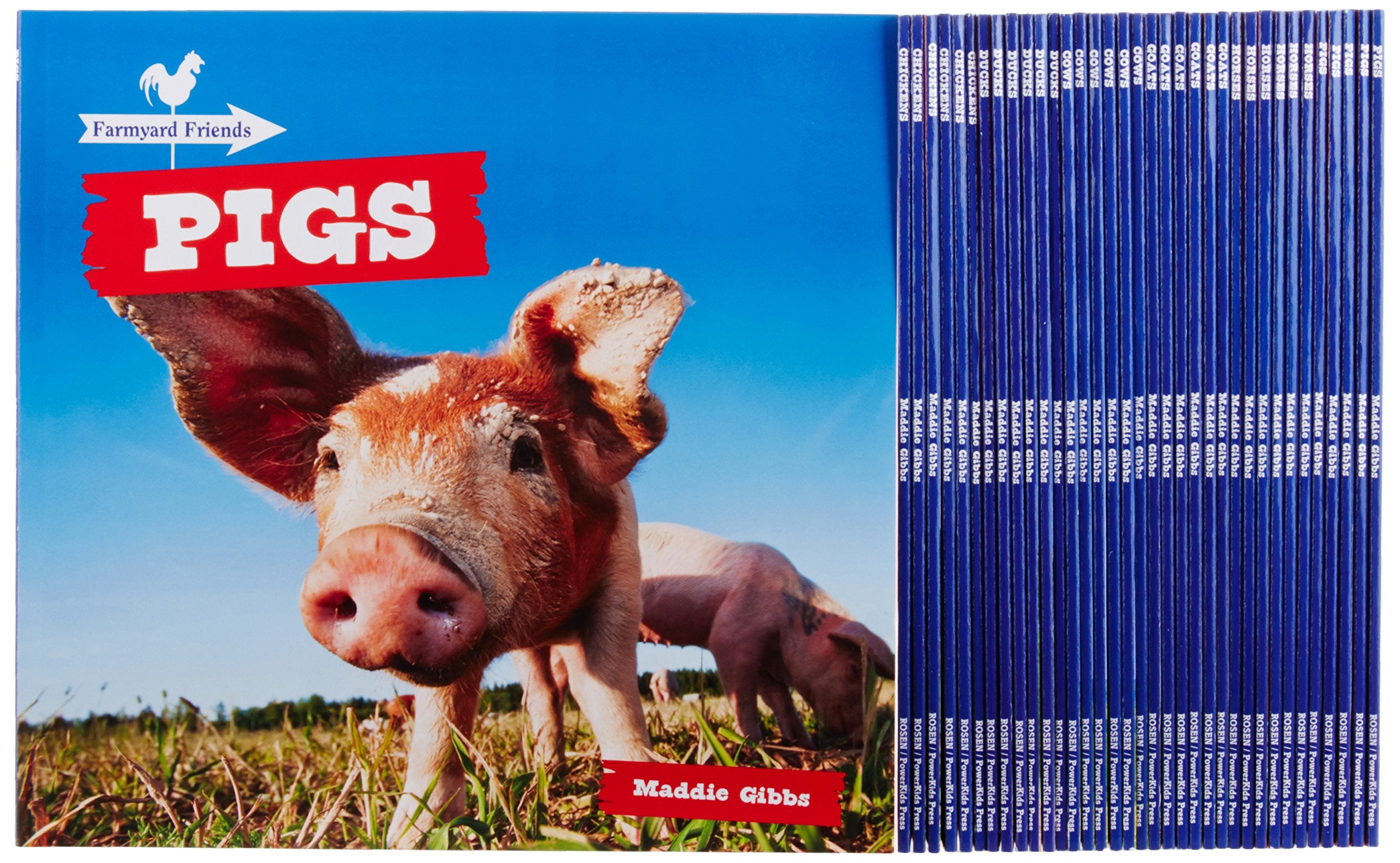 Farmyard Friends: Classroom Collection: Chickens, Ducks, Cows, Goats, Horses, Pigs Non-fiction