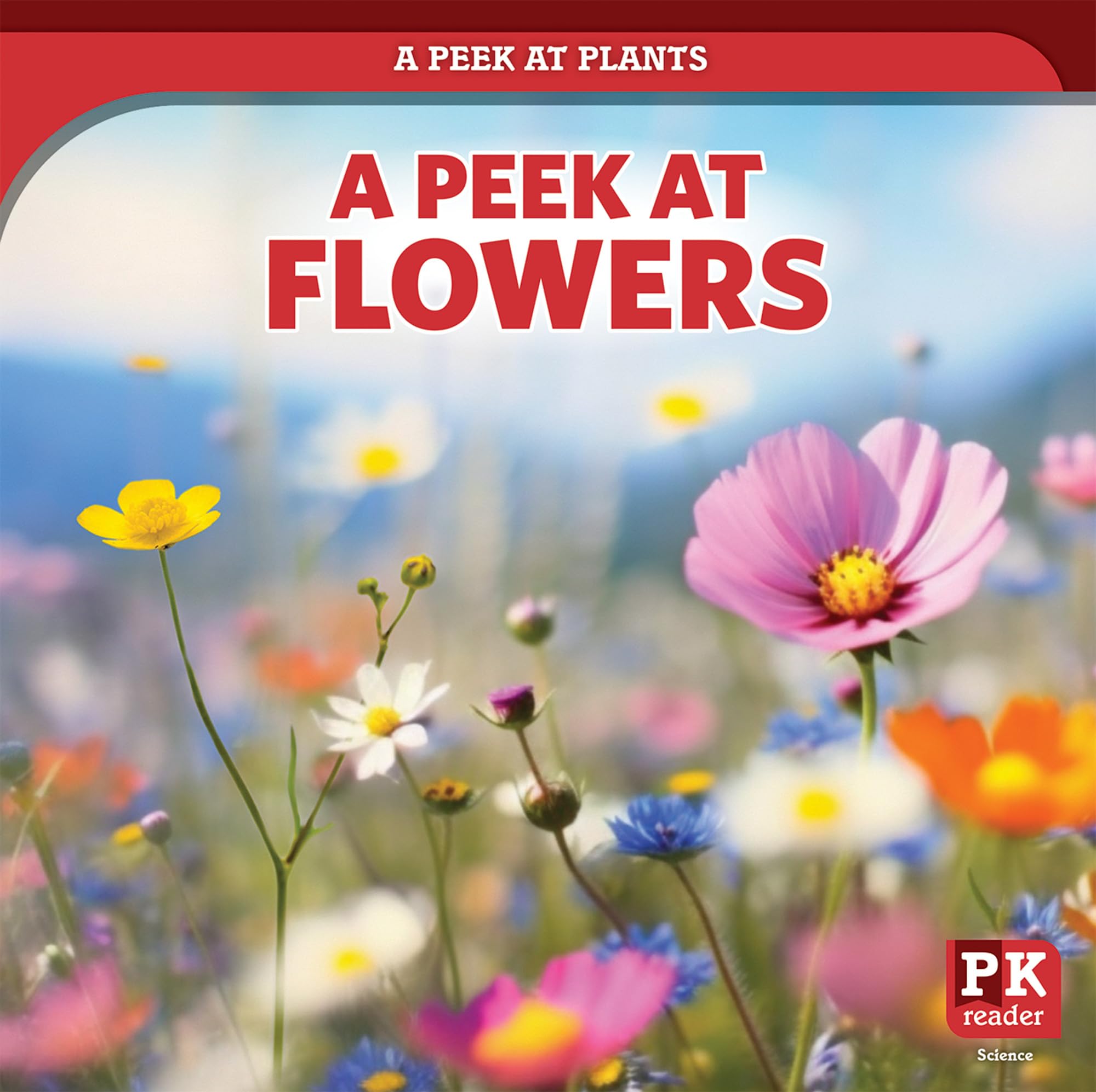 A Peek at Flowers (A Peek at Plants) Non-fiction
