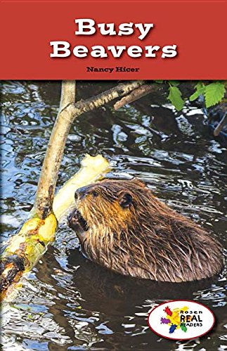 Busy Beavers (Rosen Real Readers : Stem and Steam) Non-fiction