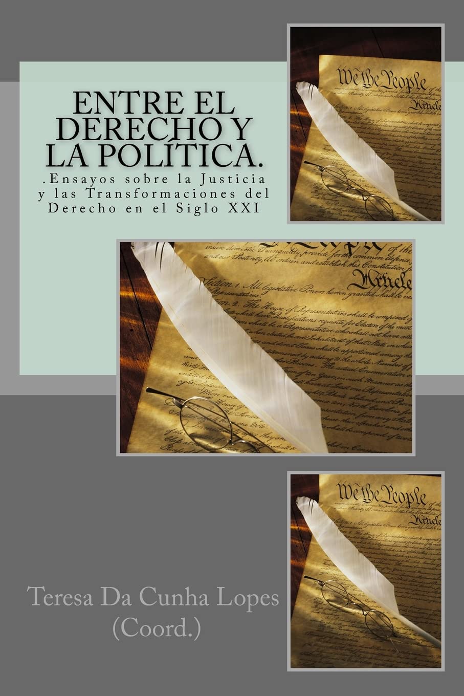 Entre el Derecho y la Politica. .Ensayos sobre la Justicia y las Transformaciones del Derecho en el Siglo XXI (Transformaciones Juridicas y Sociales en el Siglo XXI serie 14les en el, Band 3) Law