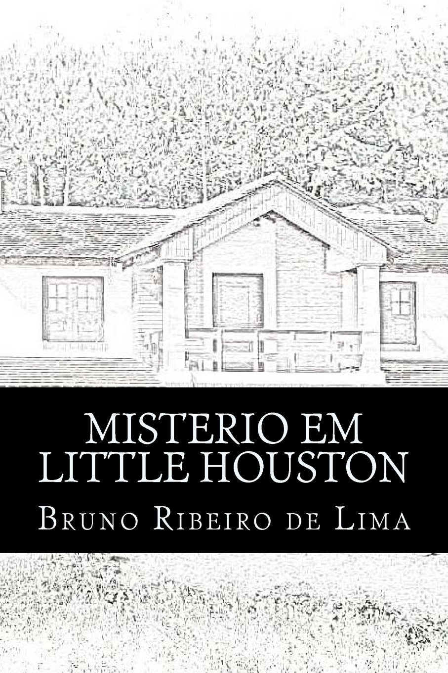 Misterio em Little Houston: A primeira história do detetive Michael Davids Detective & CSI