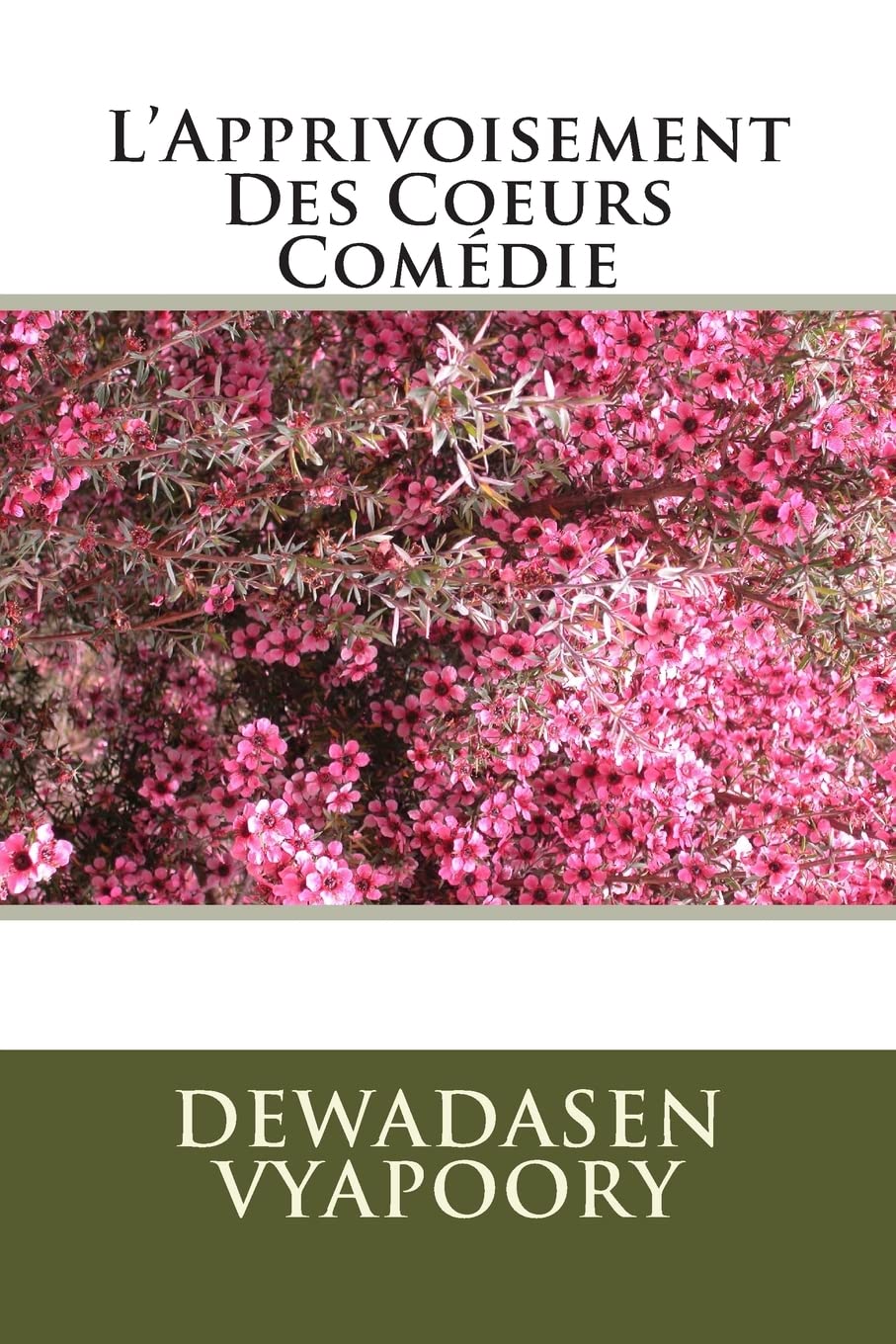 L'Apprivoisement Des Coeurs Comédie Drama