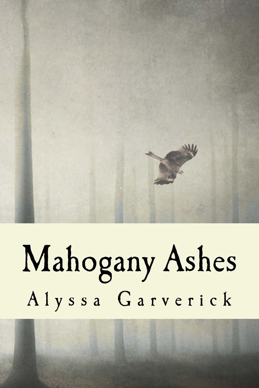 Mahogany Ashes: City of Parker Action & Adventure