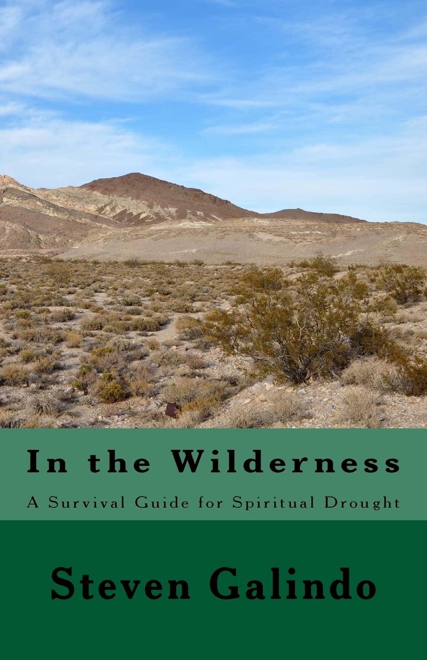 In the Wilderness: A Survival Guide for Spiritual Drought Lifestyle